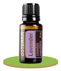 Lavender